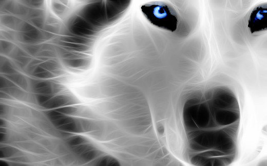 651439 (a): :2560x1600